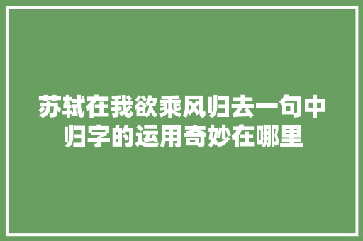 苏轼在我欲乘风归去一句中归字的运用奇妙在哪里