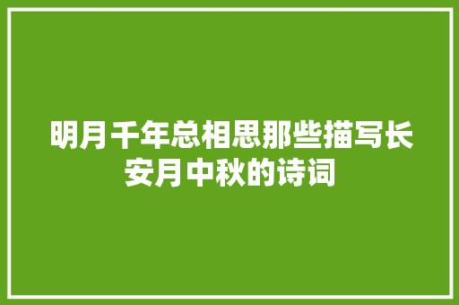 明月千年总相思那些描写长安月中秋的诗词