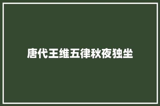 唐代王维五律秋夜独坐