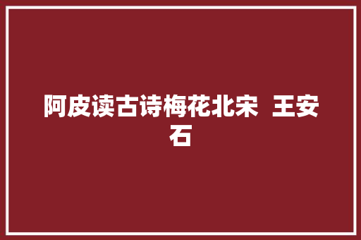 阿皮读古诗梅花北宋  王安石
