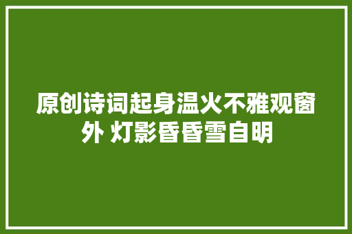 原创诗词起身温火不雅观窗外 灯影昏昏雪自明