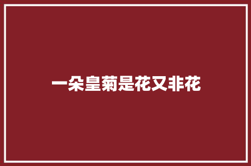 一朵皇菊是花又非花