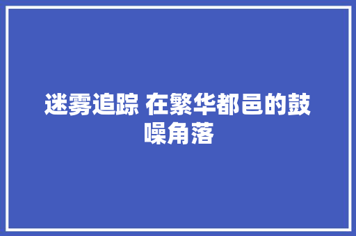 迷雾追踪 在繁华都邑的鼓噪角落
