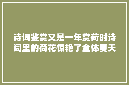 诗词鉴赏又是一年赏荷时诗词里的荷花惊艳了全体夏天