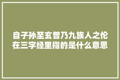 自子孙至玄曾乃九族人之伦在三字经里指的是什么意思
