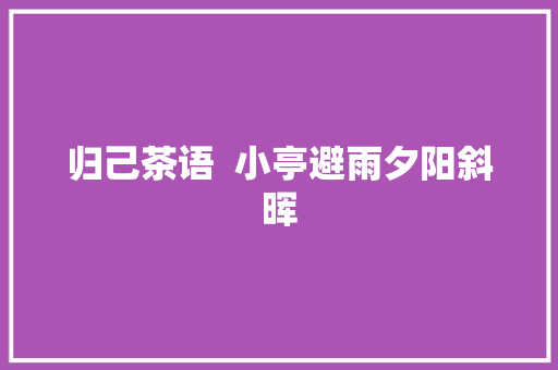 归己茶语  小亭避雨夕阳斜晖