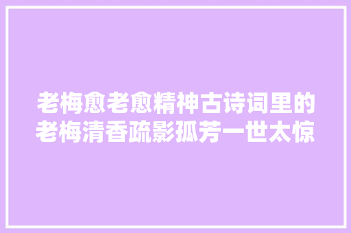 老梅愈老愈精神古诗词里的老梅清香疏影孤芳一世太惊艳了
