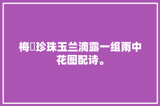梅掛珍珠玉兰滴露一组雨中花图配诗。