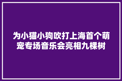 为小猫小狗吹打上海首个萌宠专场音乐会亮相九棵树