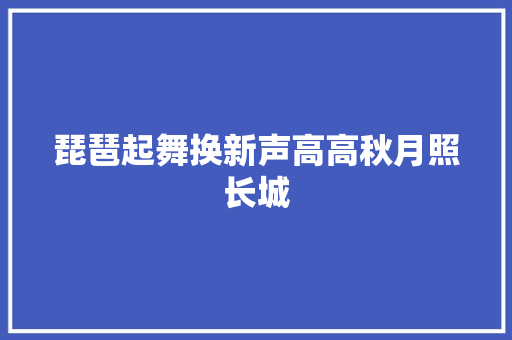 琵琶起舞换新声高高秋月照长城