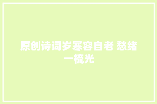 原创诗词岁寒容自老 愁绪一梳光