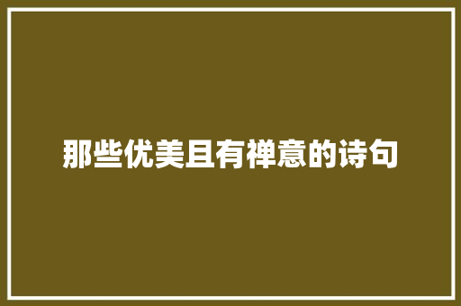 那些优美且有禅意的诗句