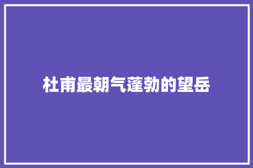 杜甫最朝气蓬勃的望岳