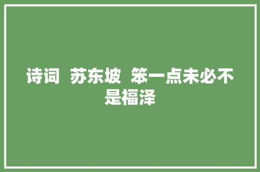 诗词  苏东坡  笨一点未必不是福泽