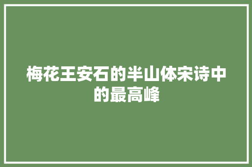 梅花王安石的半山体宋诗中的最高峰