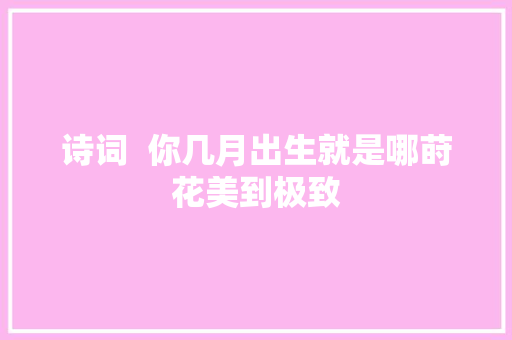 诗词  你几月出生就是哪莳花美到极致
