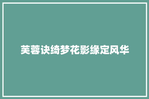 芙蓉诀绮梦花影缘定风华