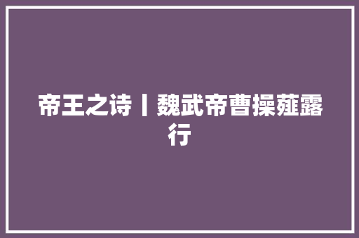 帝王之诗丨魏武帝曹操薤露行