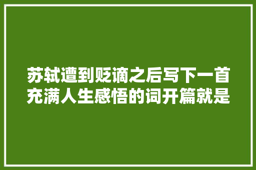 苏轼遭到贬谪之后写下一首充满人生感悟的词开篇就是千古名句