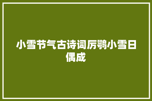 小雪节气古诗词厉鹗小雪日偶成