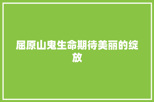 屈原山鬼生命期待美丽的绽放