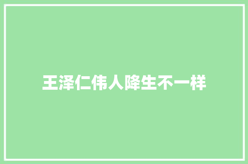 王泽仁伟人降生不一样