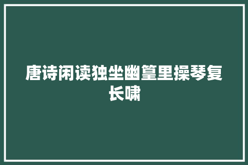 唐诗闲读独坐幽篁里操琴复长啸