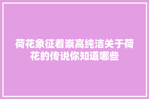 荷花象征着崇高纯洁关于荷花的传说你知道哪些
