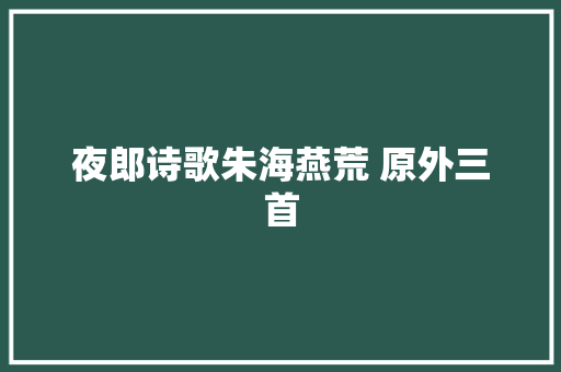 夜郎诗歌朱海燕荒 原外三首