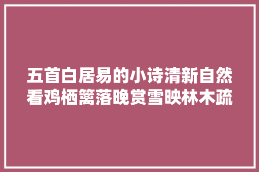 五首白居易的小诗清新自然看鸡栖篱落晚赏雪映林木疏
