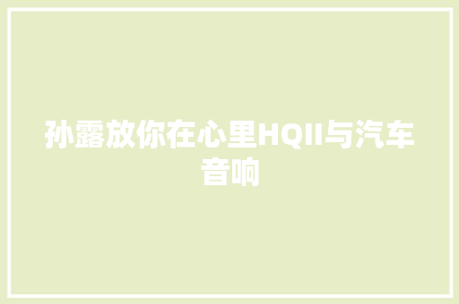 孙露放你在心里HQII与汽车音响