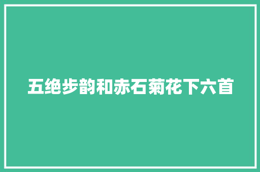 五绝步韵和赤石菊花下六首