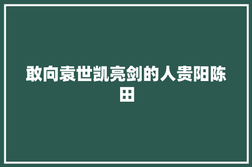 敢向袁世凯亮剑的人贵阳陈田