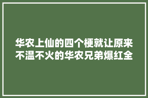 华农上仙的四个梗就让原来不温不火的华农兄弟爆红全网