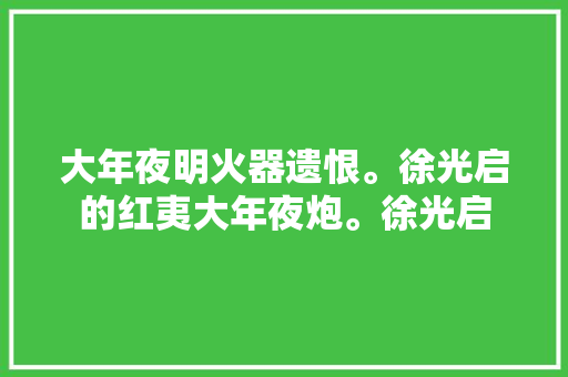 大年夜明火器遗恨。徐光启的红夷大年夜炮。徐光启
