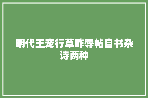 明代王宠行草昨辱帖自书杂诗两种