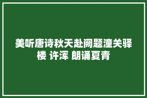 美听唐诗秋天赴阙题潼关驿楼 许浑 朗诵夏青