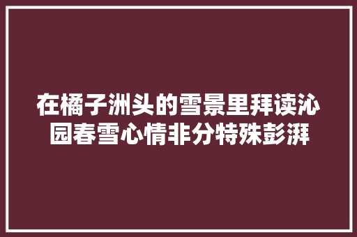 在橘子洲头的雪景里拜读沁园春雪心情非分特殊彭湃