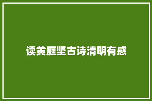 读黄庭坚古诗清明有感