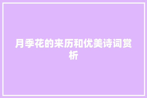 月季花的来历和优美诗词赏析