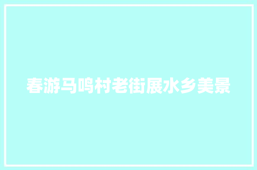 春游马鸣村老街展水乡美景