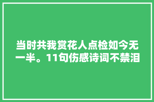 当时共我赏花人点检如今无一半。11句伤感诗词不禁泪眼婆娑