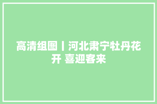 高清组图丨河北肃宁牡丹花开 喜迎客来