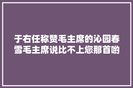 于右任称赞毛主席的沁园春雪毛主席说比不上您那首哟