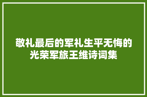 敬礼最后的军礼生平无悔的光荣军旅王维诗词集