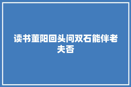 读书董阳回头问双石能伴老夫否
