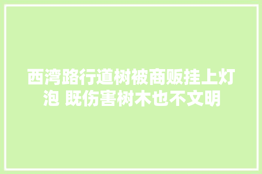 西湾路行道树被商贩挂上灯泡 既伤害树木也不文明