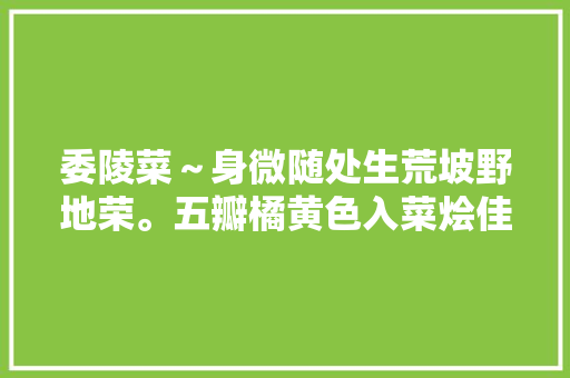 委陵菜～身微随处生荒坡野地荣。五瓣橘黄色入菜烩佳羹。