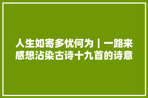 人生如寄多忧何为｜一路来感想沾染古诗十九首的诗意美