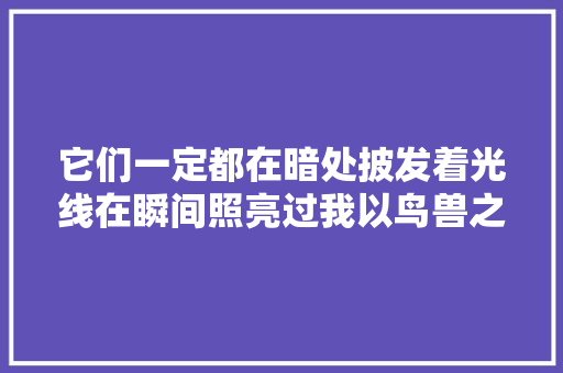 它们一定都在暗处披发着光线在瞬间照亮过我以鸟兽之名孙频
